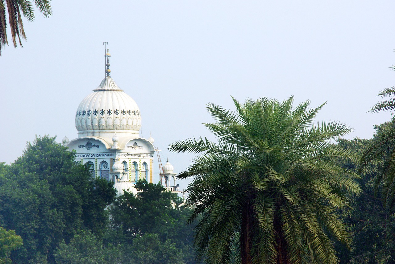 delhi mausoleum air pollution free photo