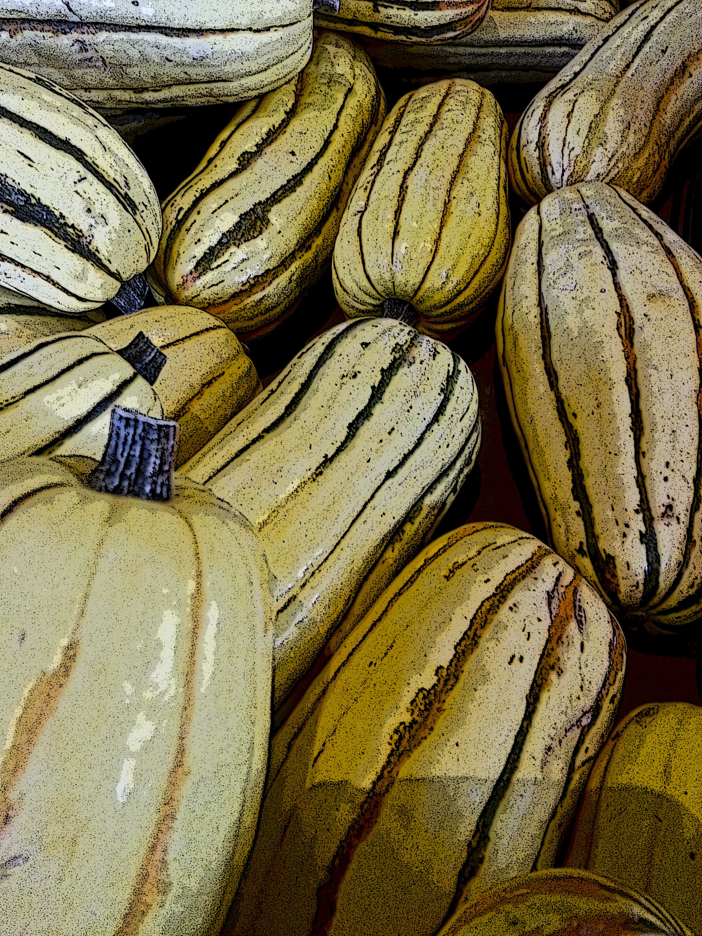 fall harvest squash free photo