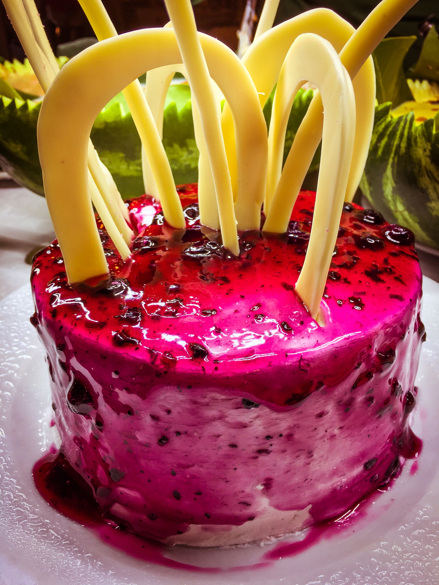 berry cake cakes free photo