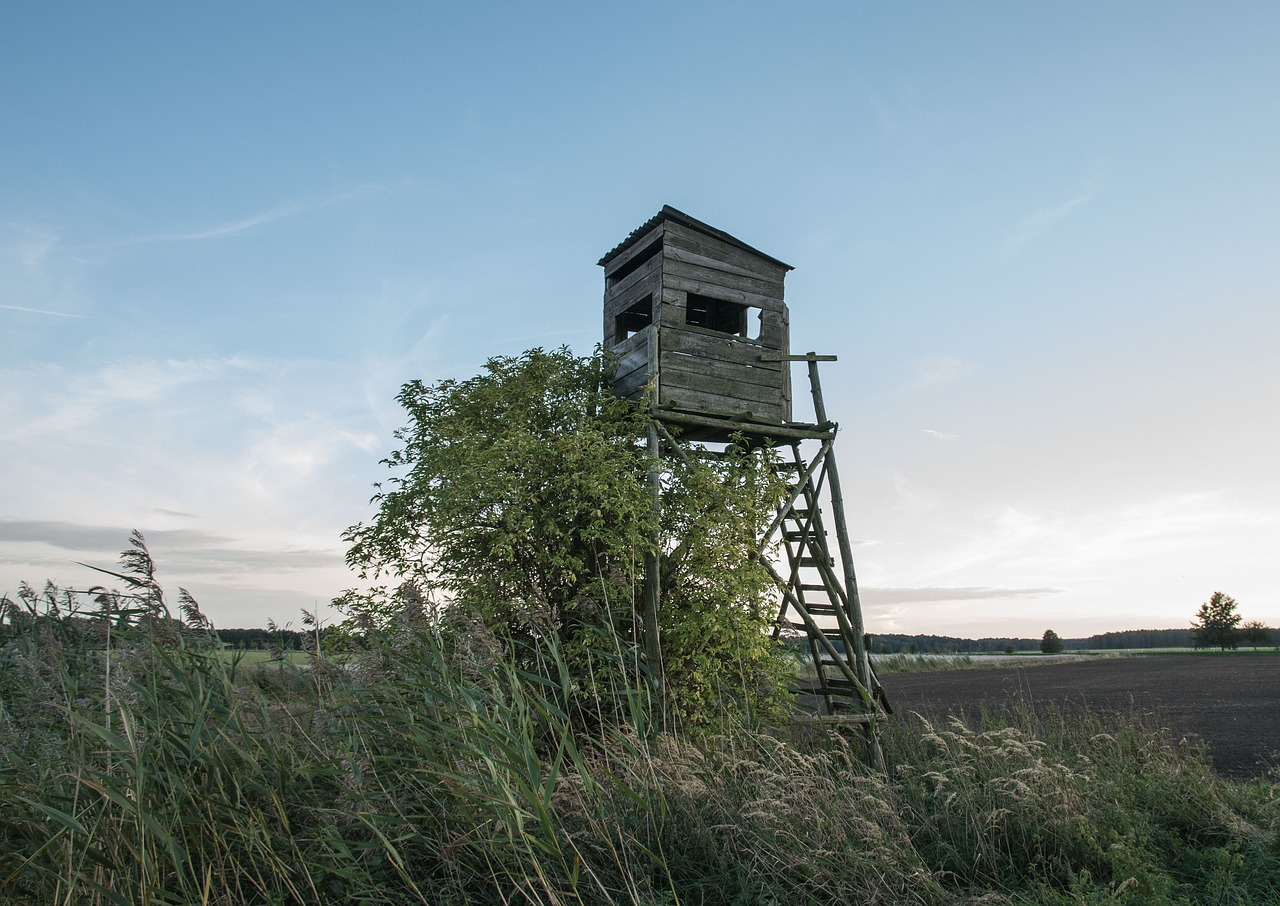 delight hunter seat watching tower free photo