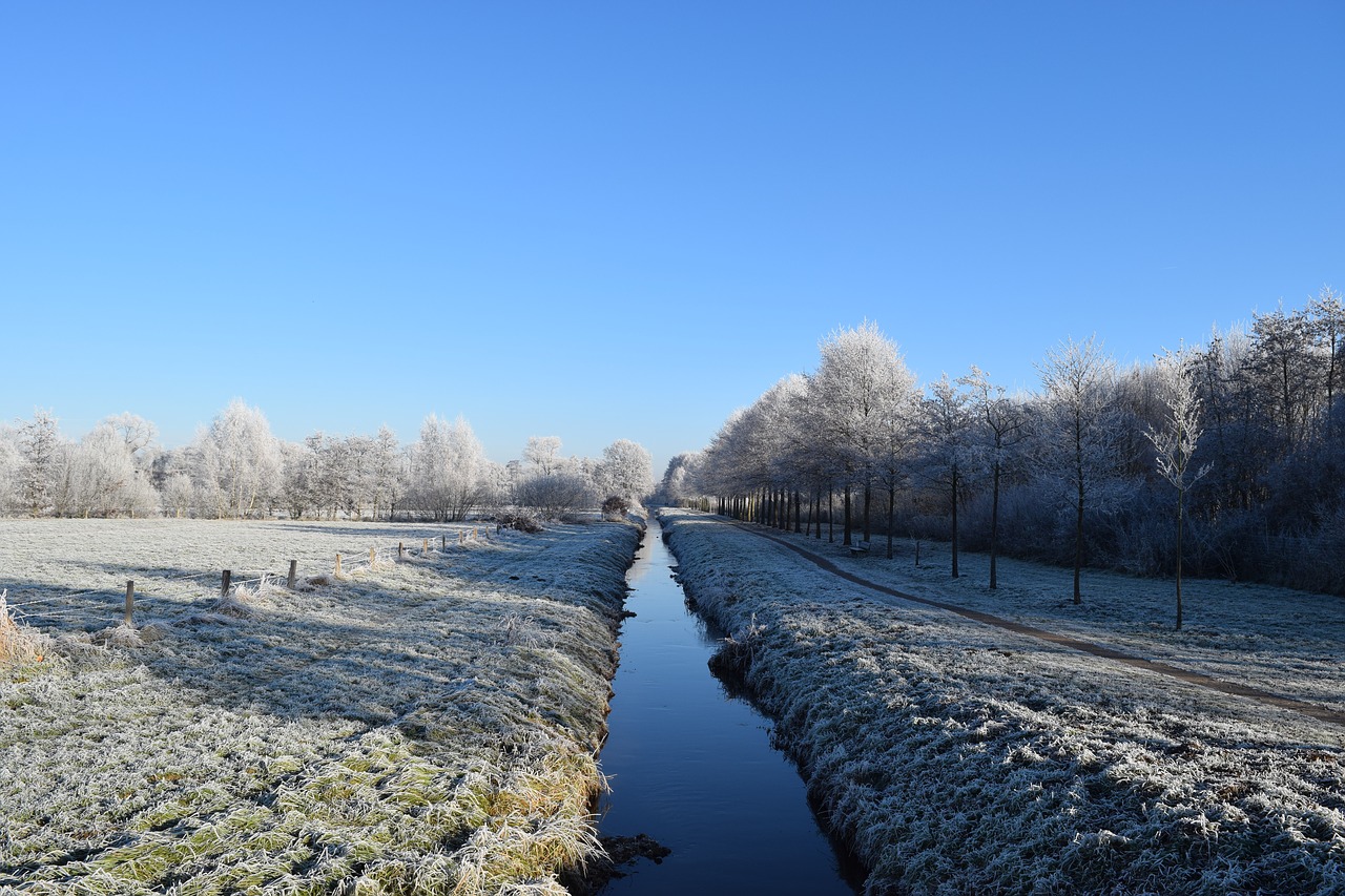 delmenhorst anne dig winter free photo