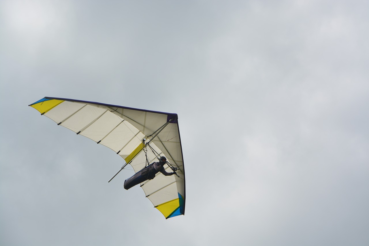 delta-plane  hover  glider free photo