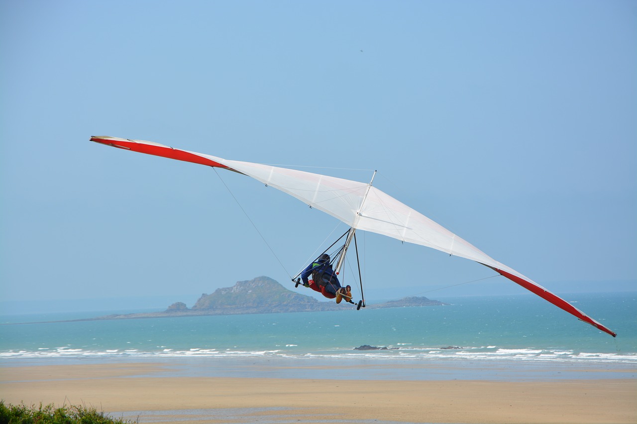 delta-plane  glider  wings free photo