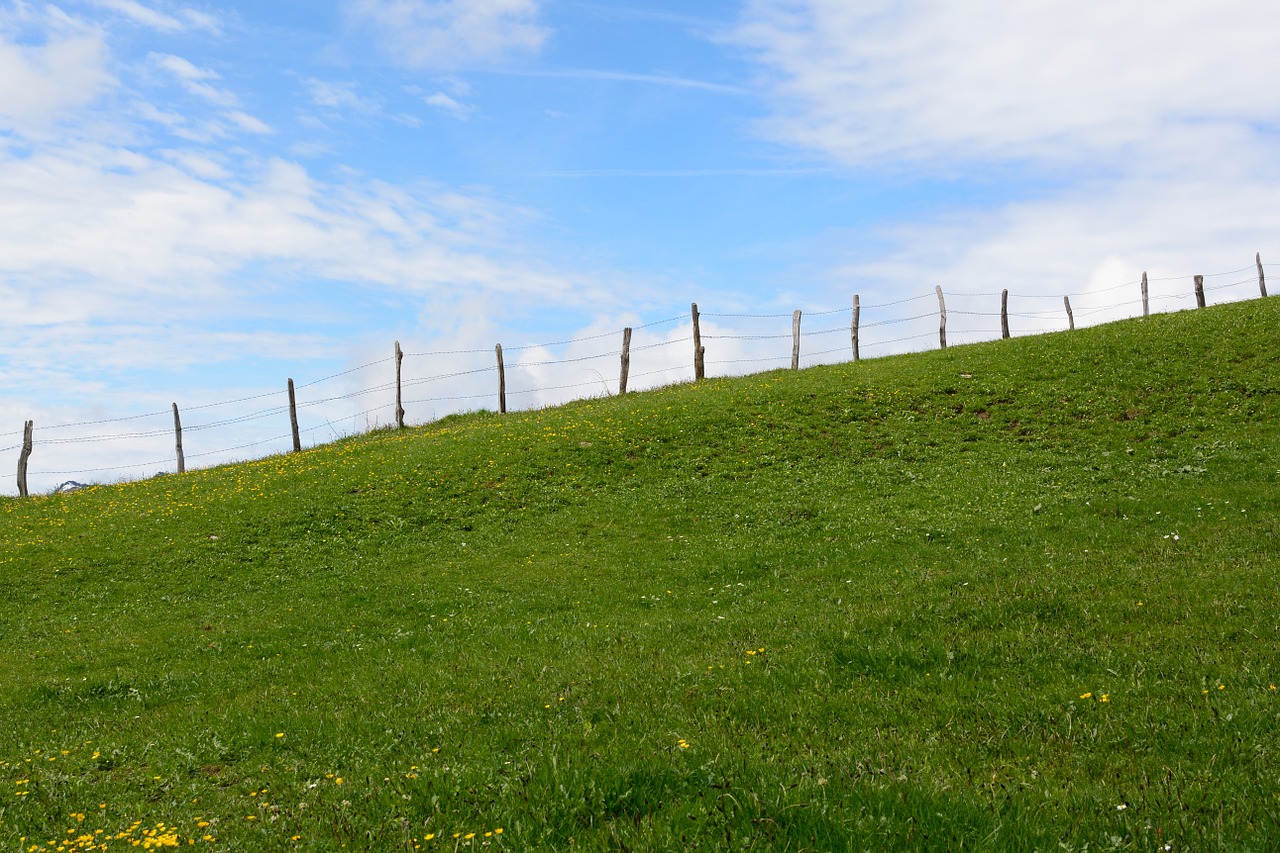 demarcation barbed wire fence free photo