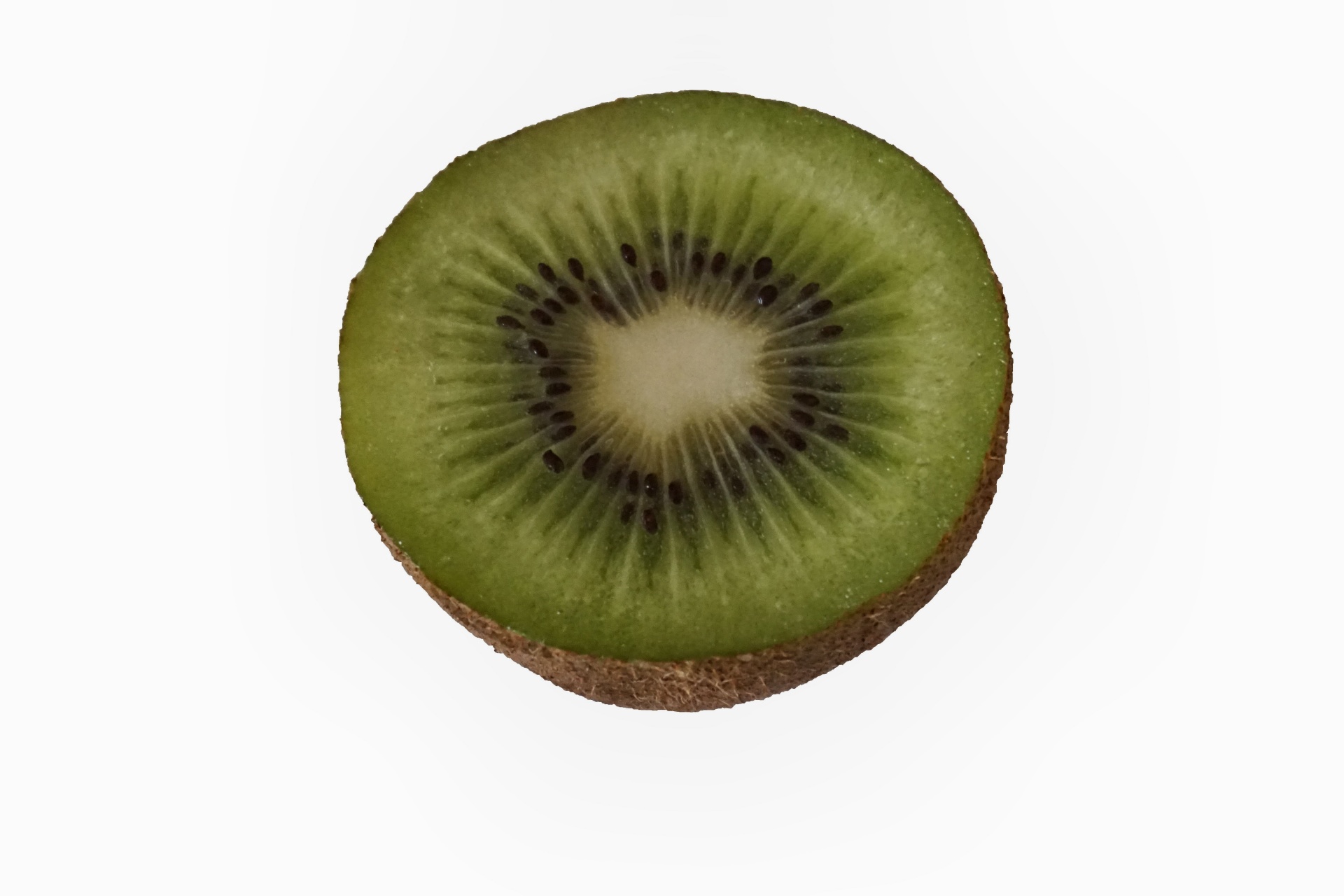 kiwi fruit dessert free photo
