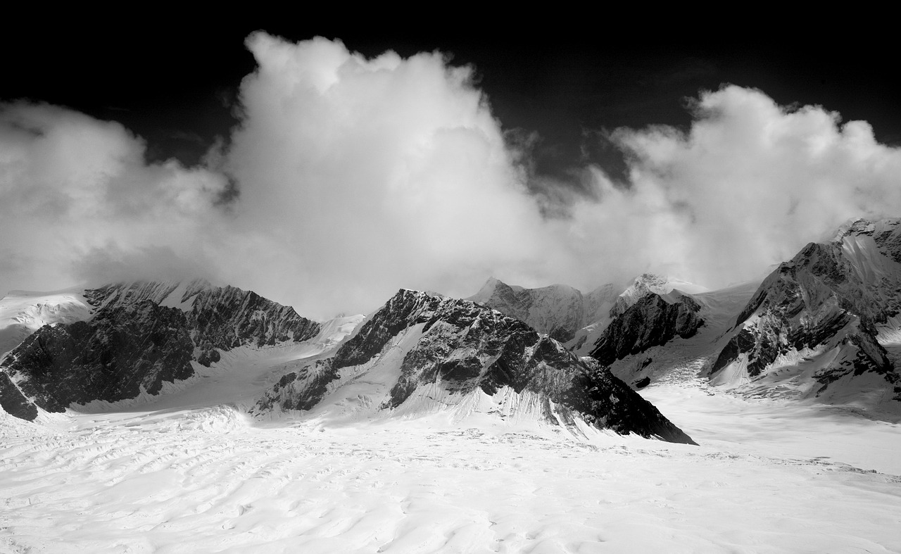 denali denali national park alaska free photo