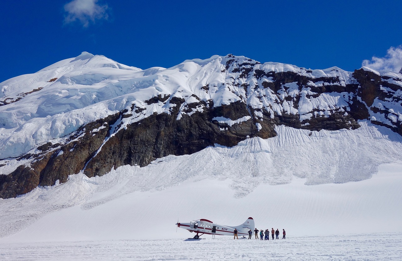 denali park flight free photo