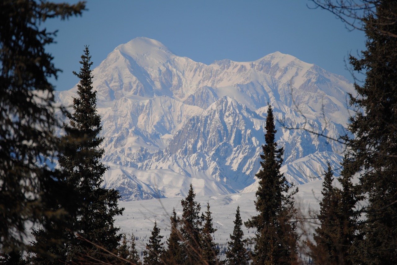 denali mountain denali park free photo