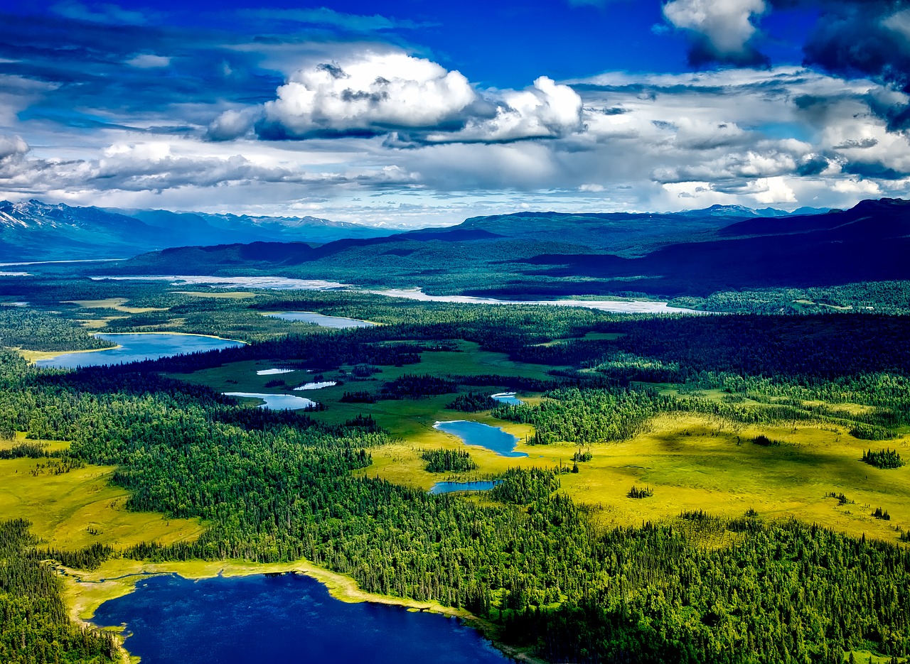 denali national park alaska aerial view free photo