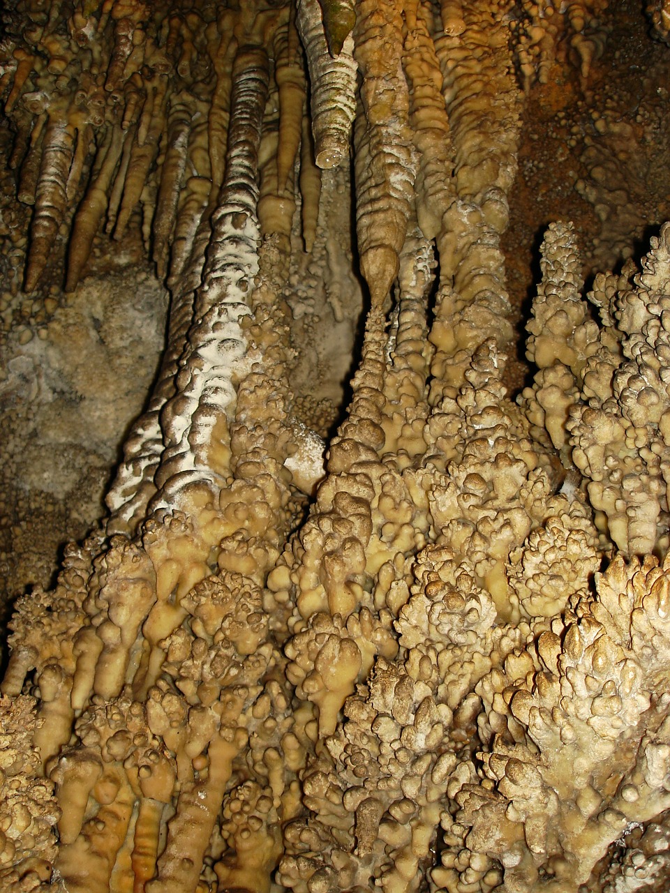 dendrites stalactites rock free photo