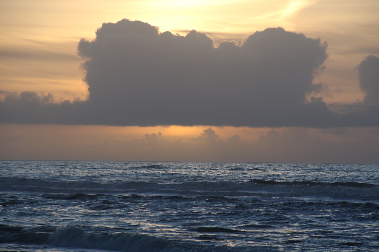 denmark natural beach free photo