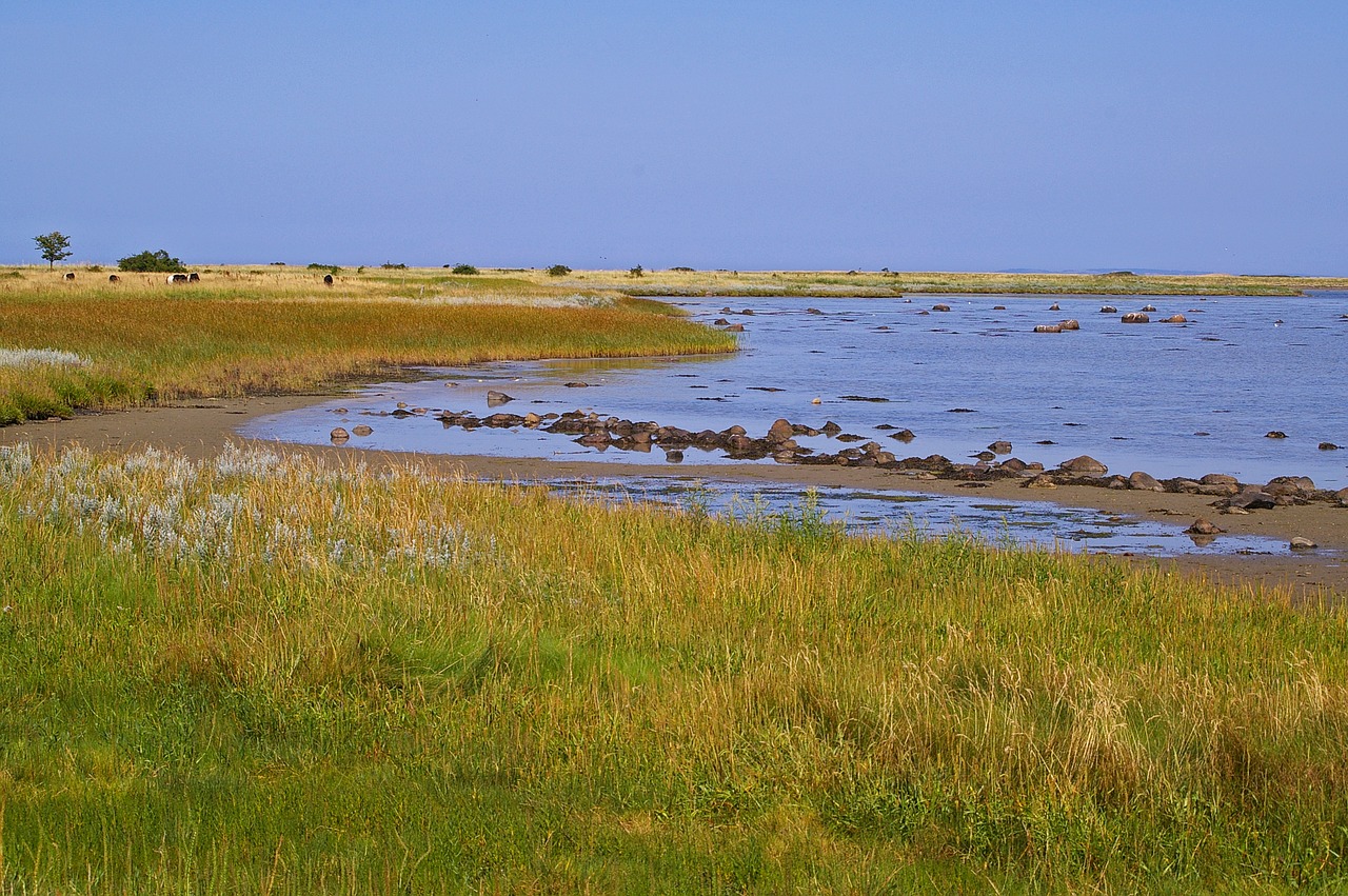 denmark danish coast island free photo