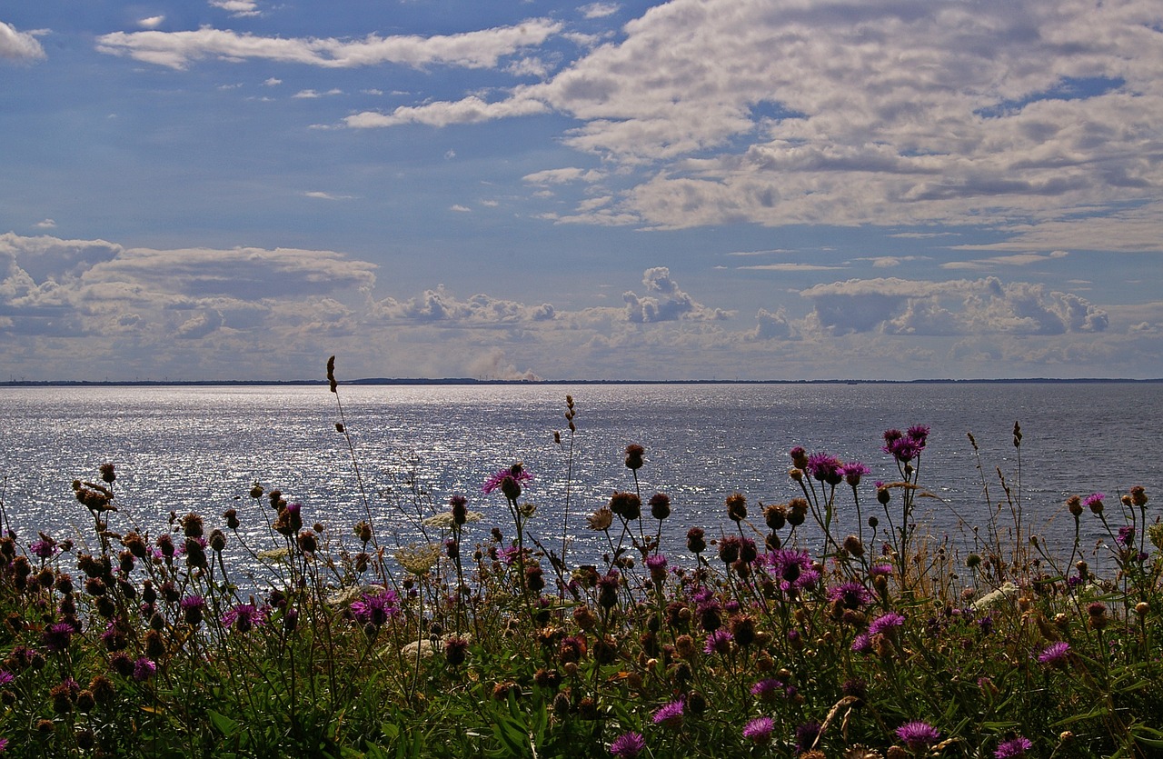 denmark danish coast island free photo