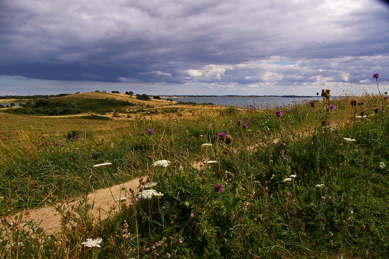 denmark danish coast island free photo