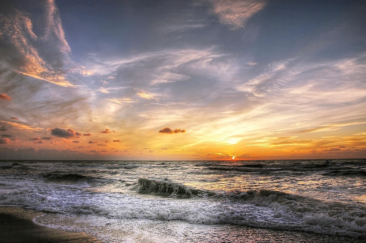 denmark beach sea free photo