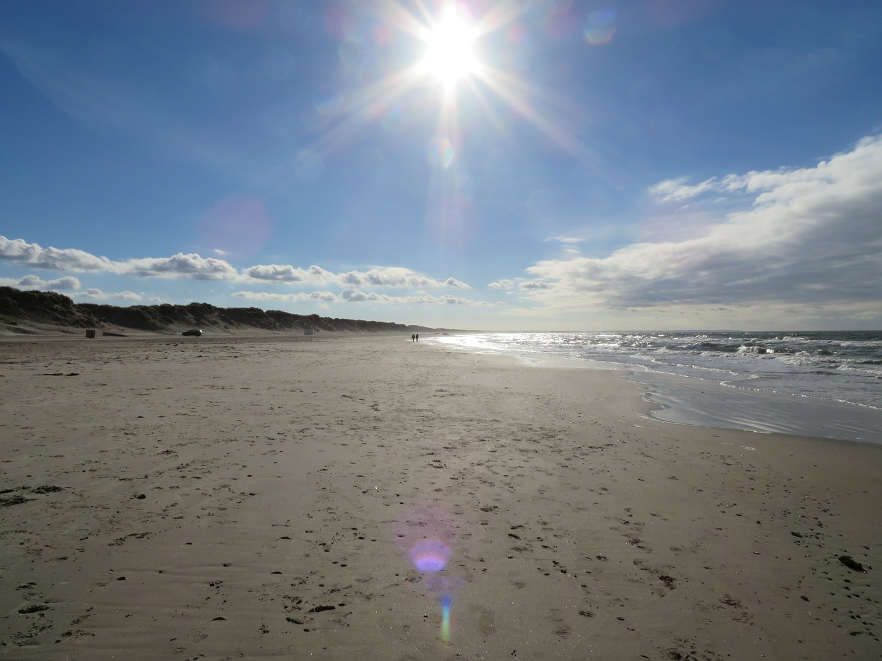 denmark beach sea free photo