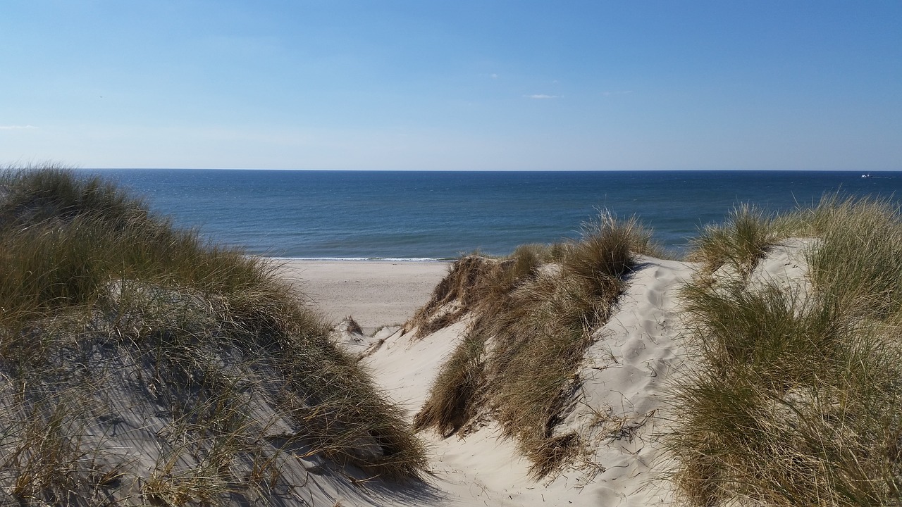 denmark beach sea free photo