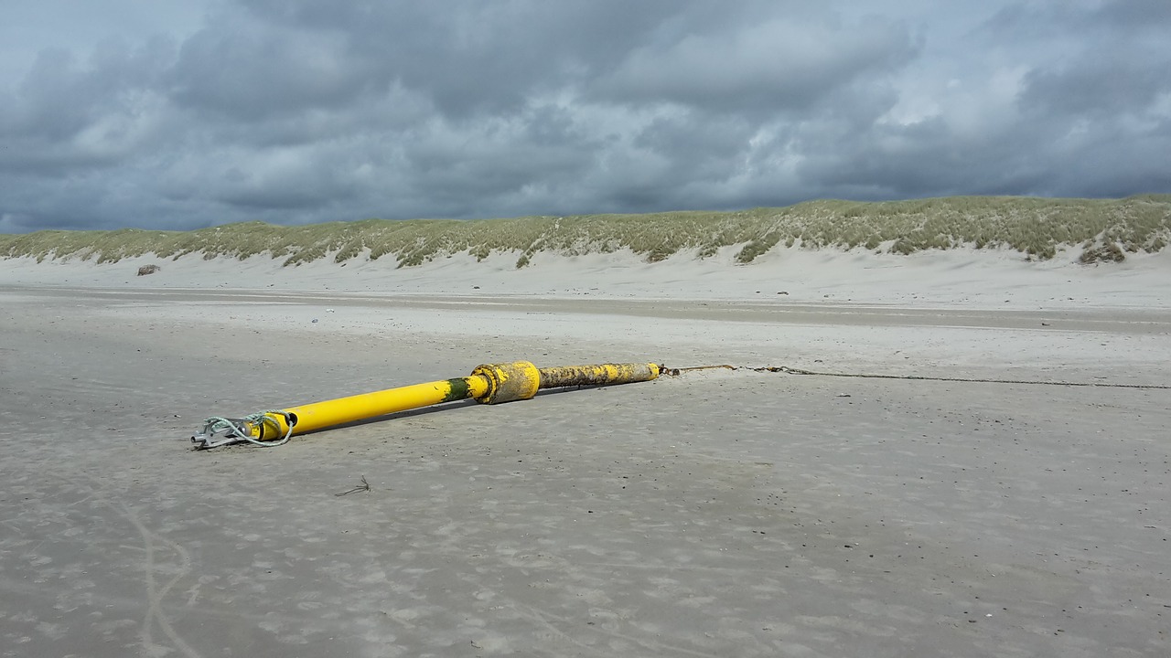 denmark beach sea free photo