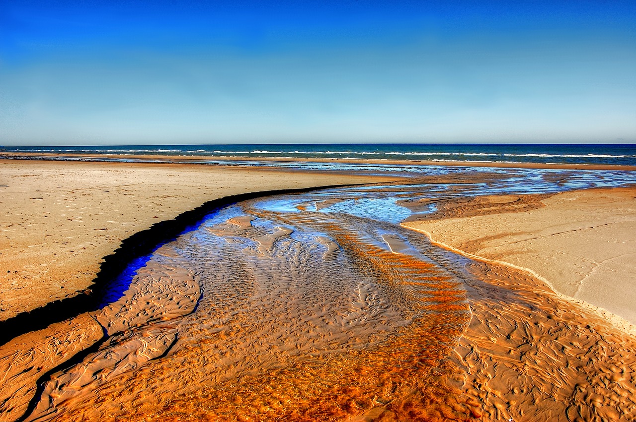 denmark beach sea free photo