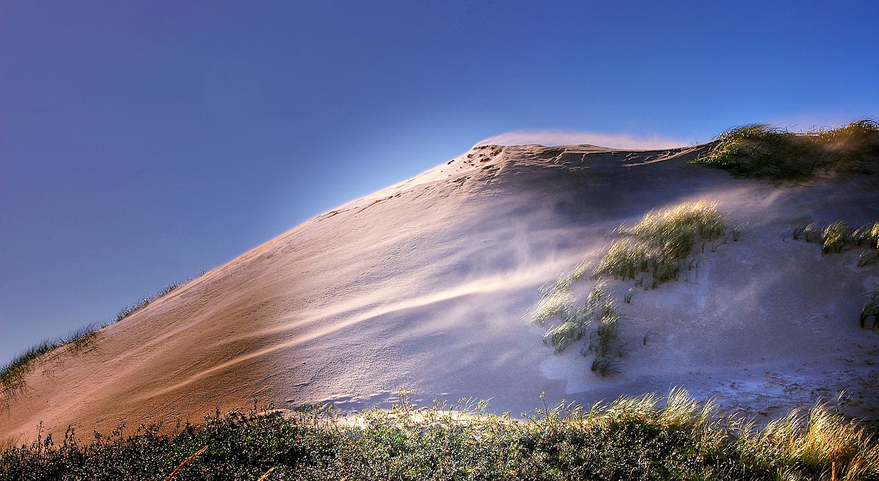 denmark dune north sea free photo
