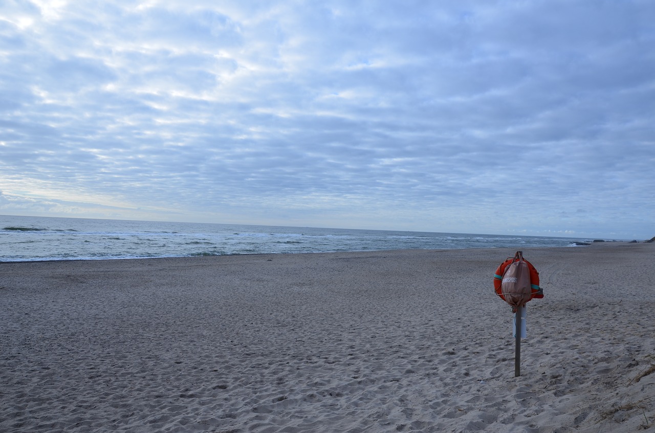 denmark north sea beach free photo