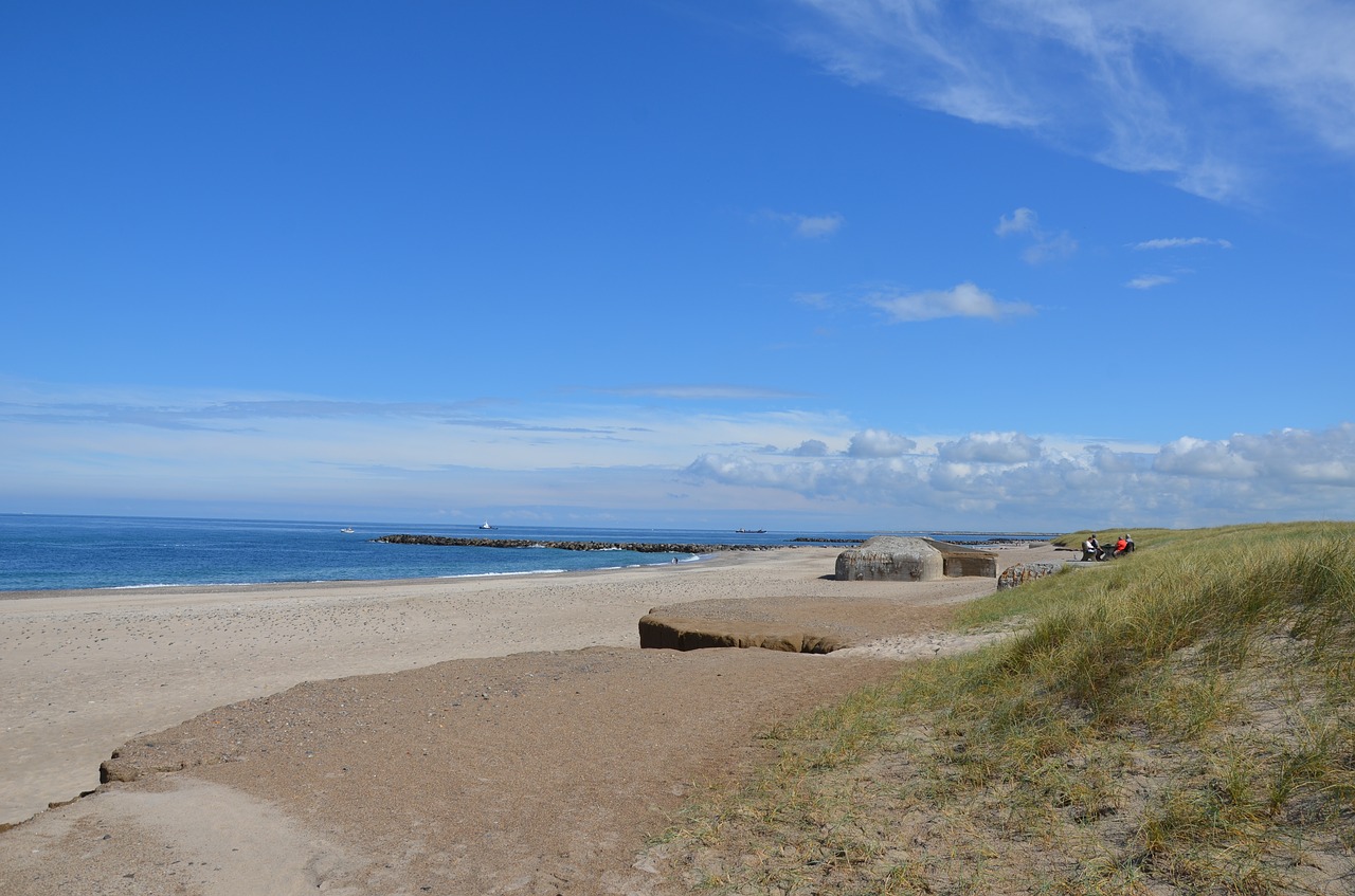 denmark beach sea free photo