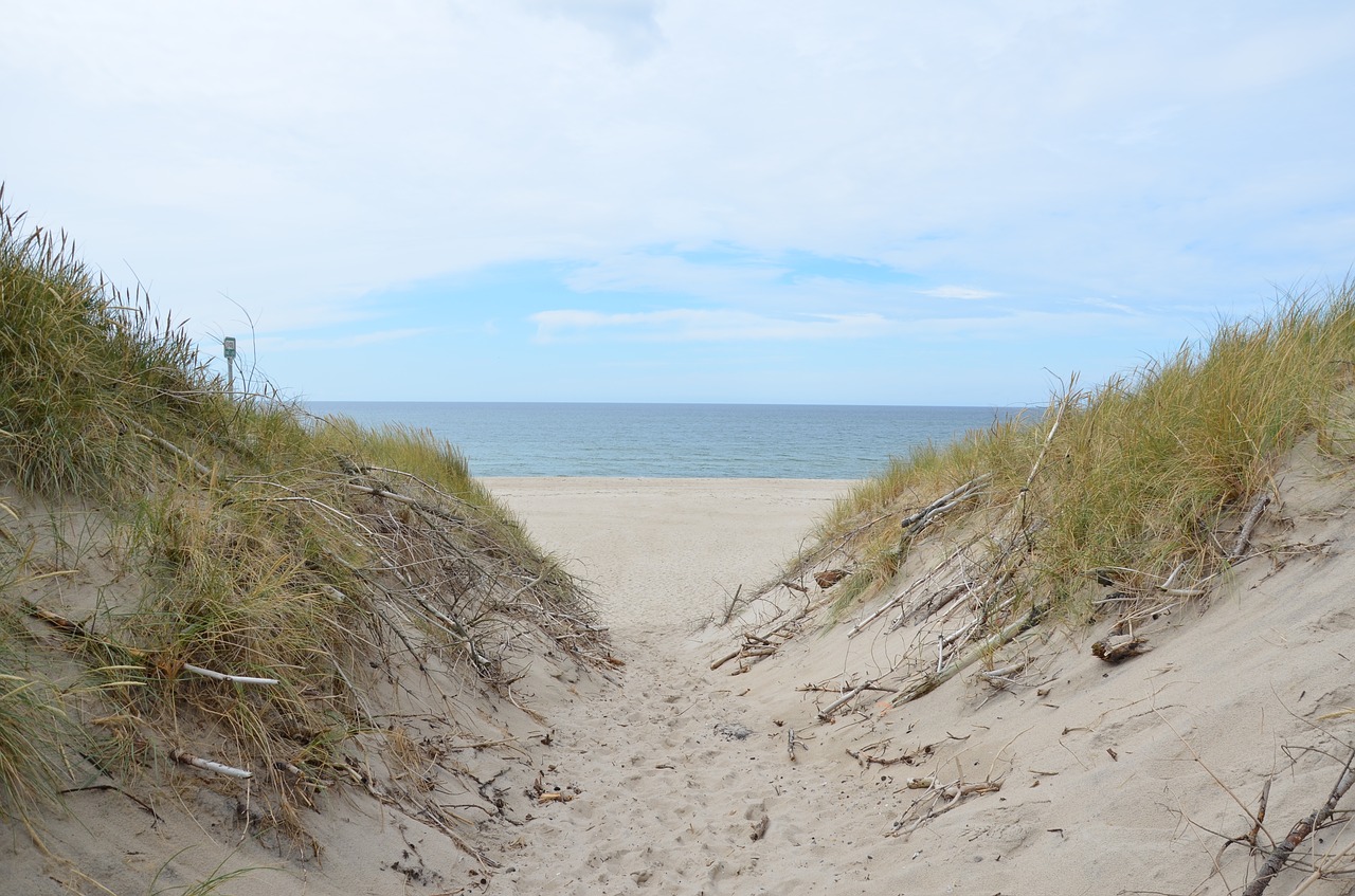 denmark beach north sea free photo