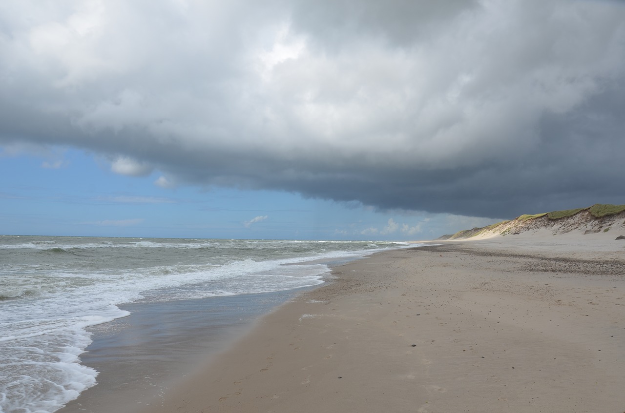 denmark north sea beach free photo