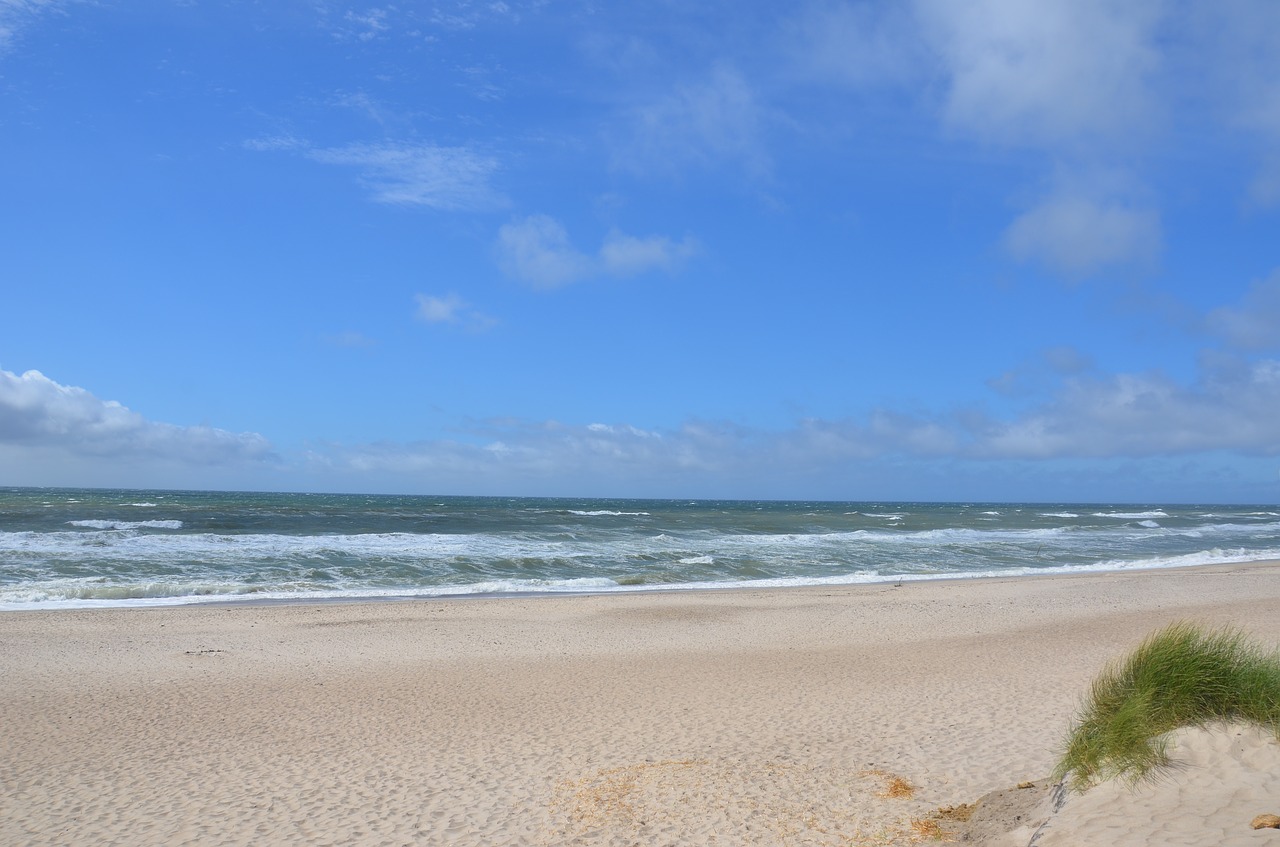 denmark beach sea free photo
