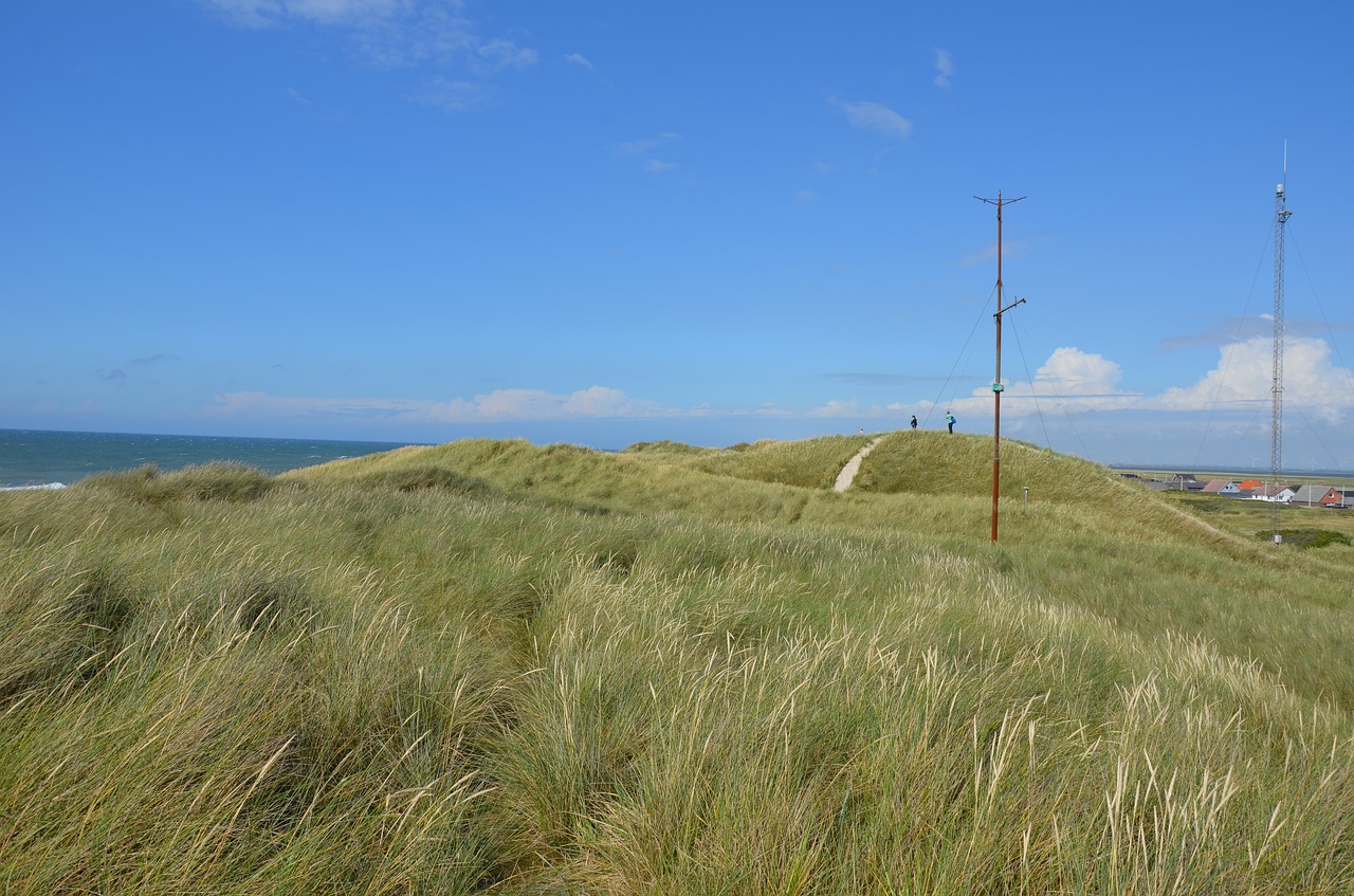 Denmark,north sea,dunes,thorsminde,beach - free image from needpix.com