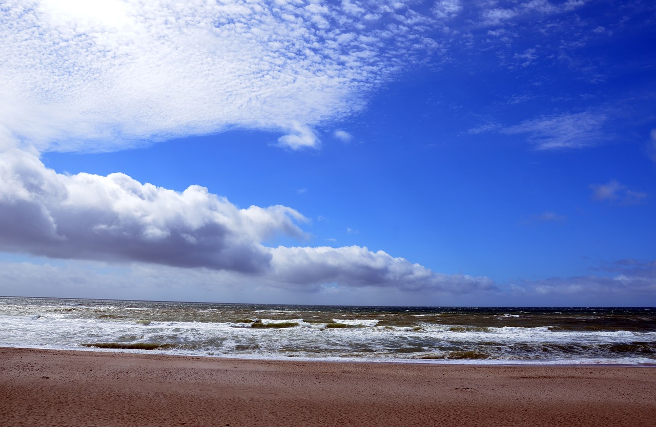 denmark north sea beach free photo