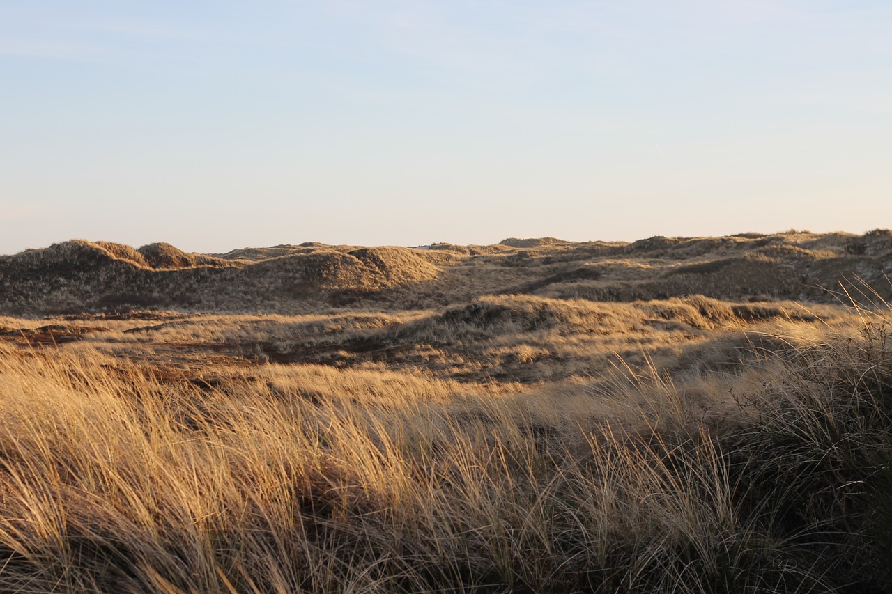 denmark holiday dunes free photo