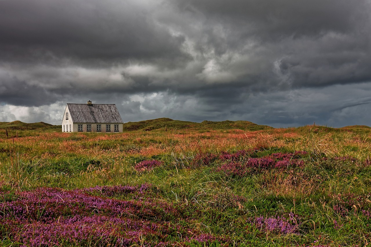 denmark  north sea  north sea coast free photo