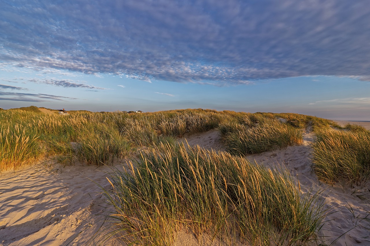 denmark  landscape  summer free photo