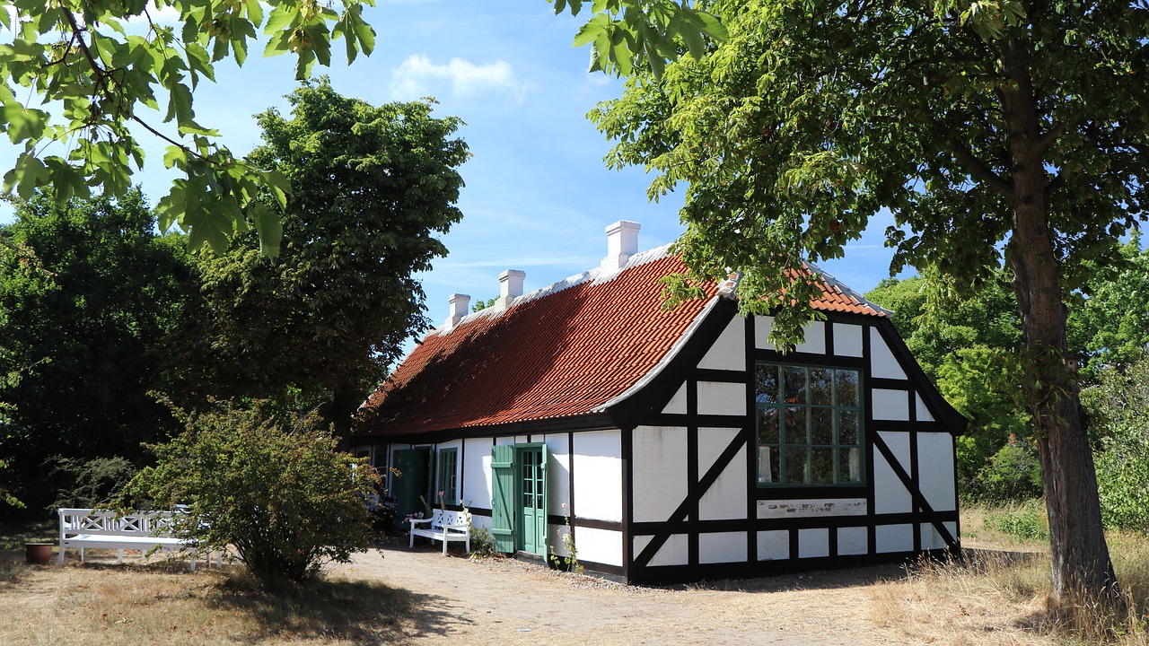 denmark  skagen  culture free photo