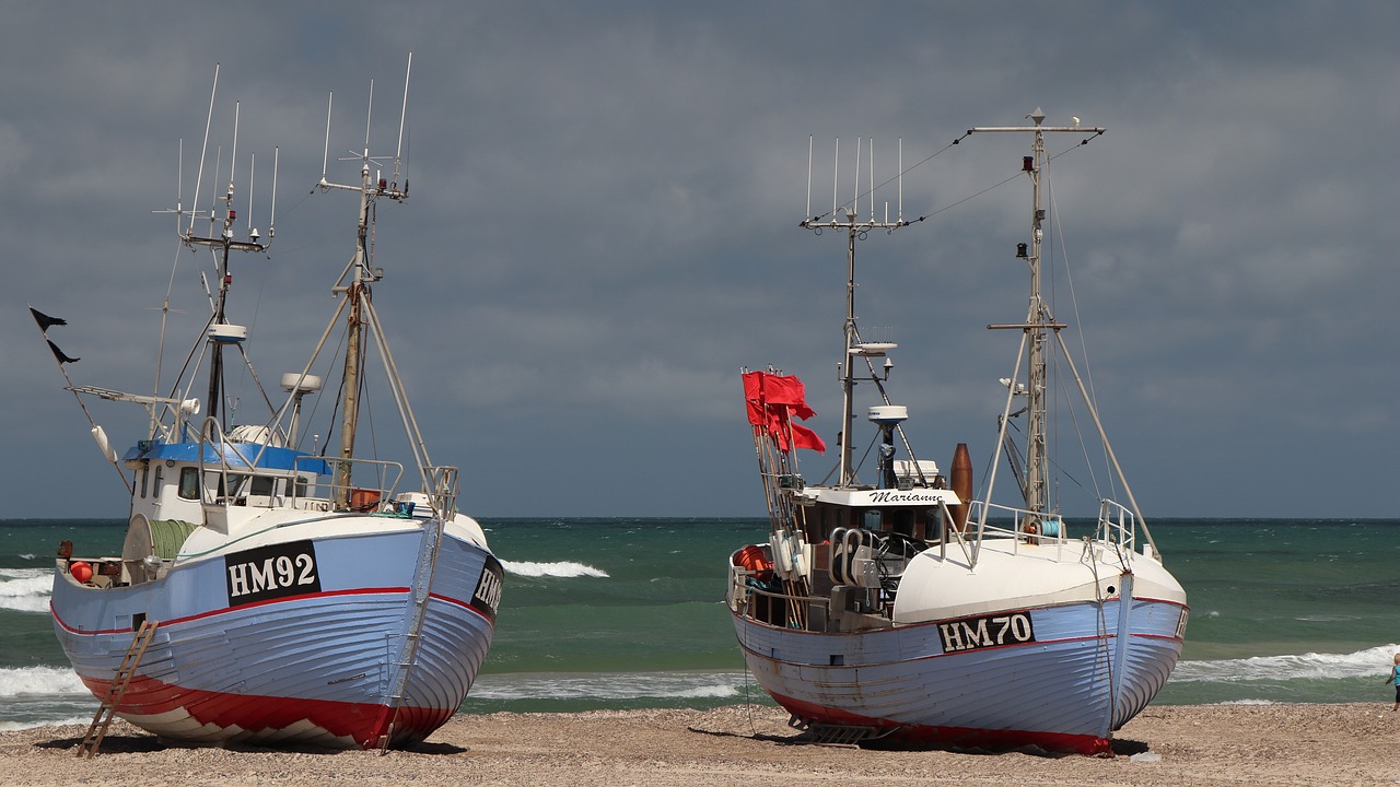 denmark  fishing  sea free photo