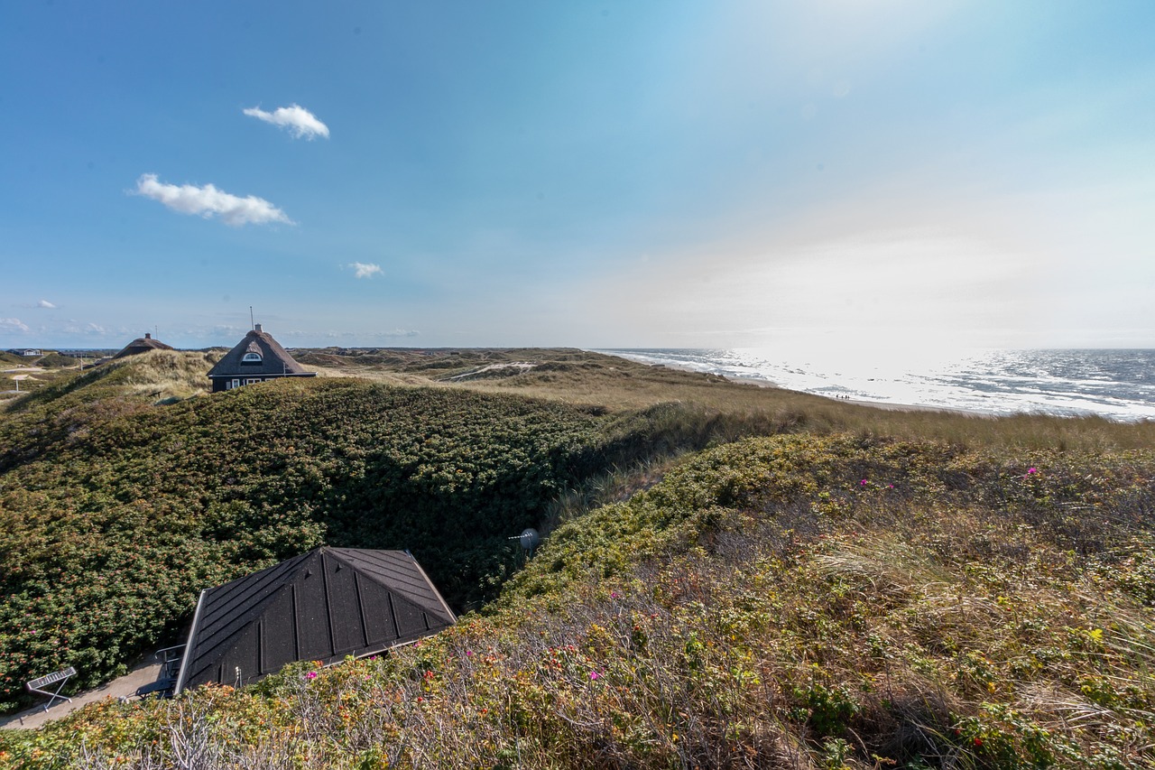 denmark  coast  sea free photo