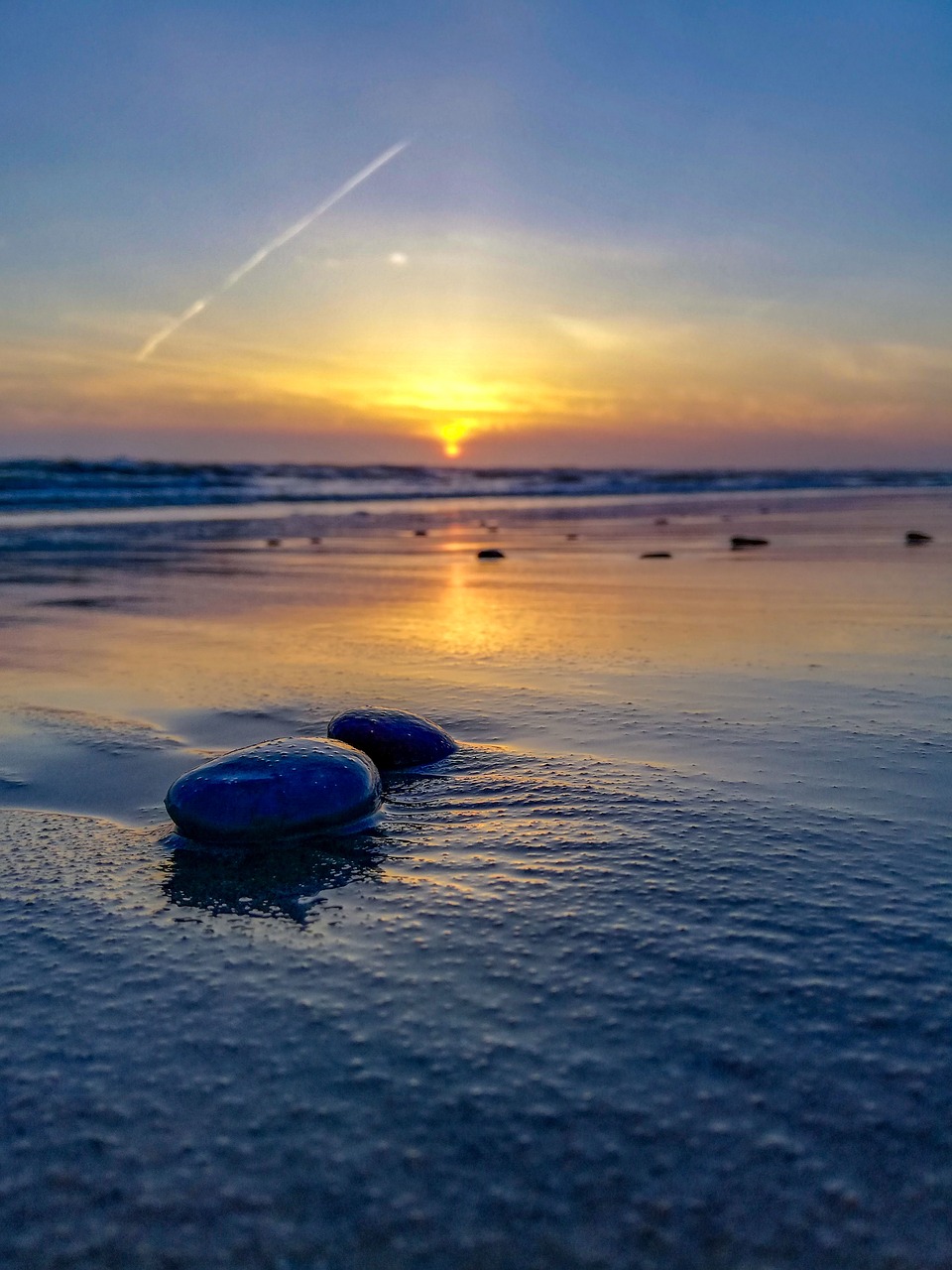 denmark  beach  water free photo