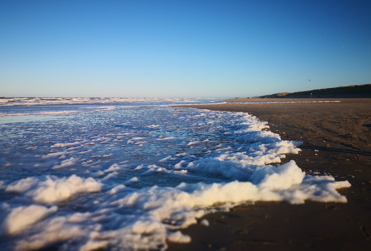 denmark  sand beach  winter sun free photo