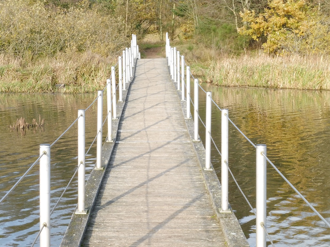 denmark  lake  bridge free photo