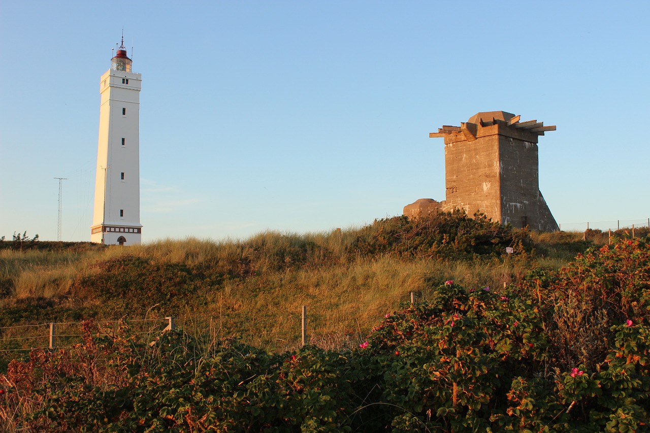 denmark blavand north sea free photo