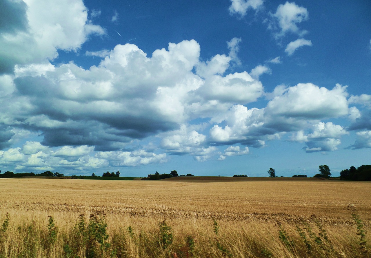 denmark landscape clouds free photo