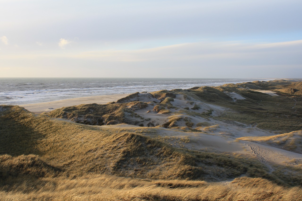 denmark north sea dune free photo