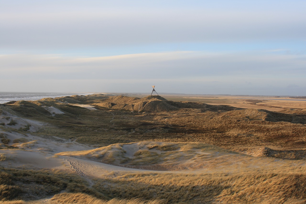 denmark north sea dune free photo