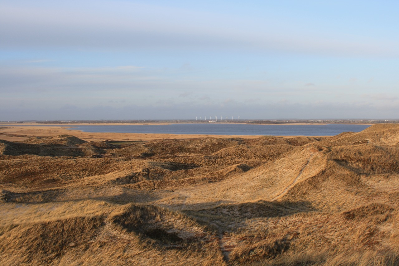 denmark fjord dune free photo