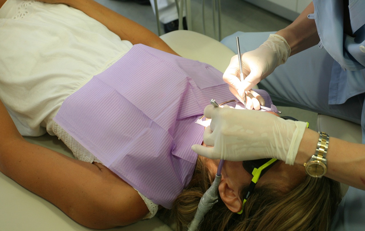 dentist dental care dentistry free photo