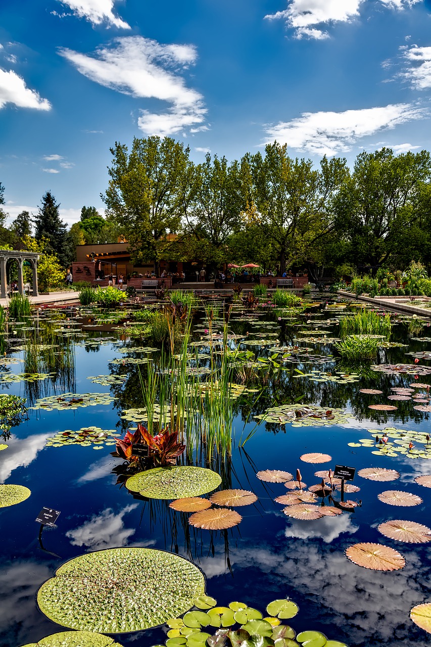 denver colorado botanic gardens free photo