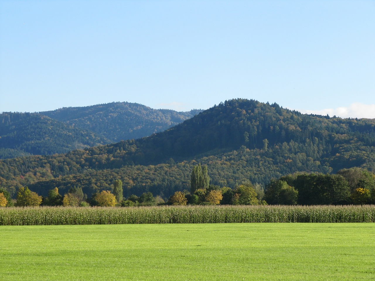 denzlingen autumn beginning forest free photo