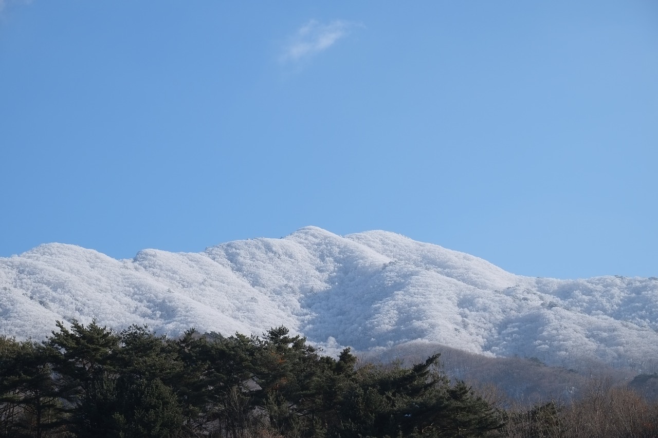 deogyusan hard rime snow mountain free photo