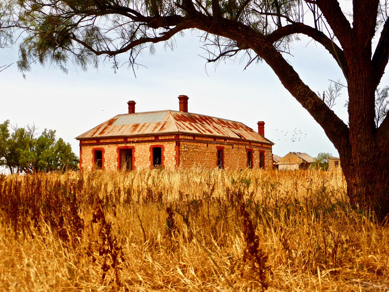 derelict  homestead  farm free photo